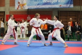 Oberbayerische Meisterschaft 2013_Kata