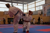 Oberbayerische Meisterschaft 2014