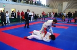 Oberbayerische Meisterschaft 2012_Kumite